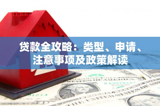 龙游贷款全攻略：类型、申请、注意事项及政策解读