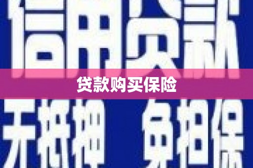 龙游贷款购买保险